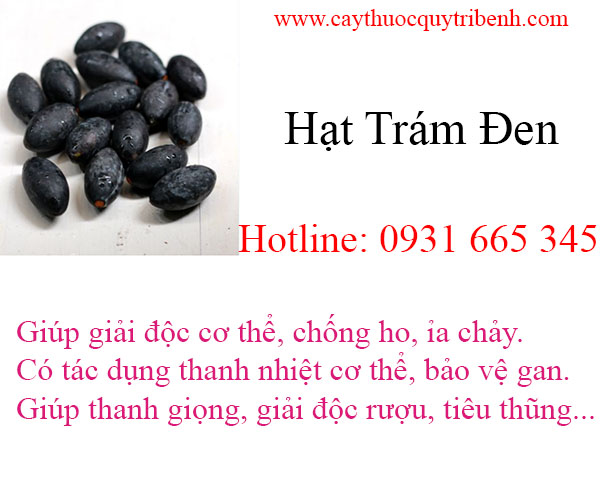 mua-hat-tram-tai-tp-hcm-uy-tin-chat-luong