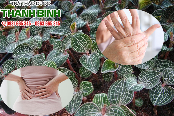 lan kim tuyen 2