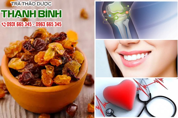 nho-kho-thao-duoc-thanh-binh