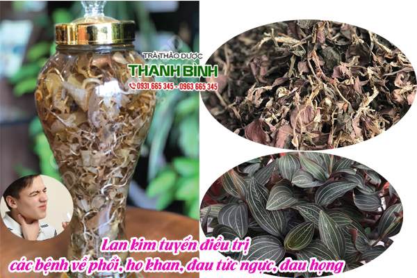 lan kim tuyen 3