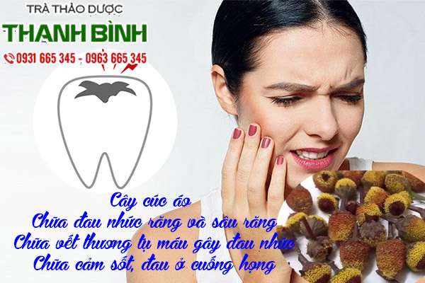 cay-cuc-ao-thao-duoc-thanh-binh