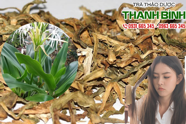 Nang hoa trang 3