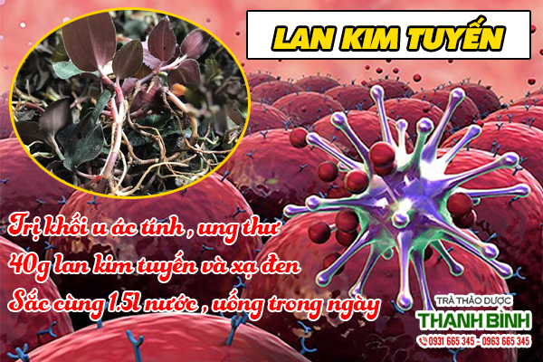 lan-kim-tuyen-thanh-binh-2