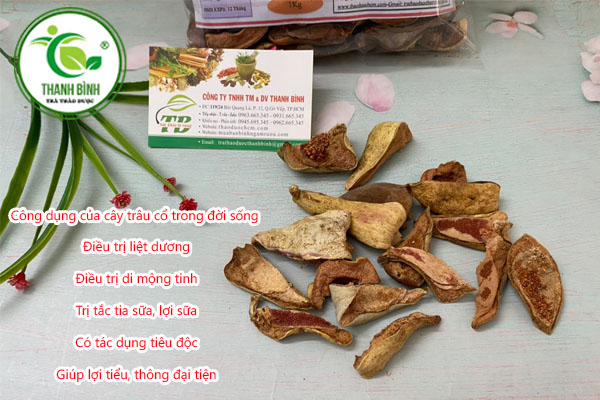 Đại Phong Tử Thảo dược Thanh Bình