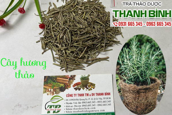 Cay huong thao 4