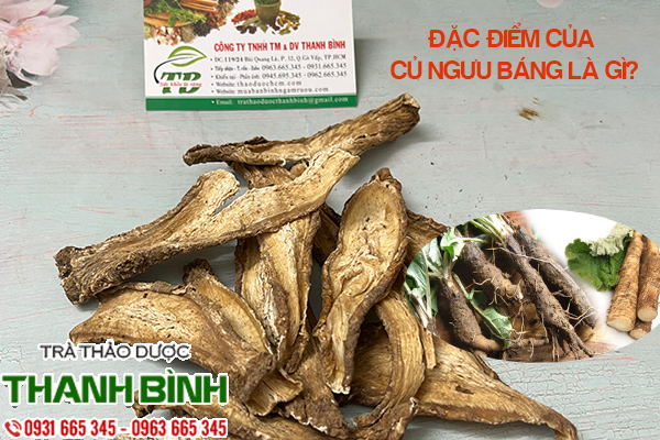 Cu nguu bang3