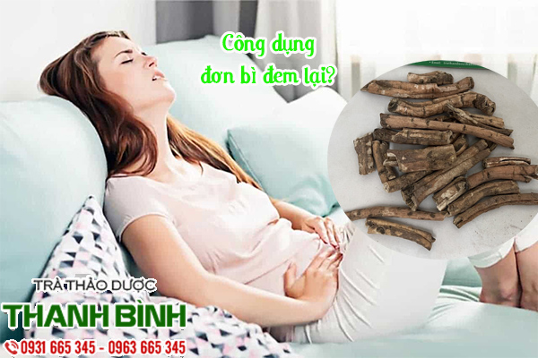 Dan bi-don bi 2