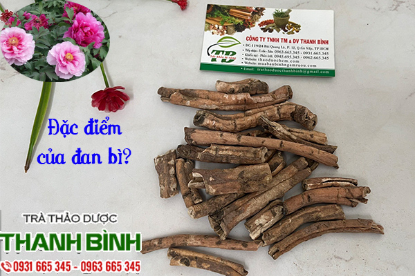Dan bi-don bi 1