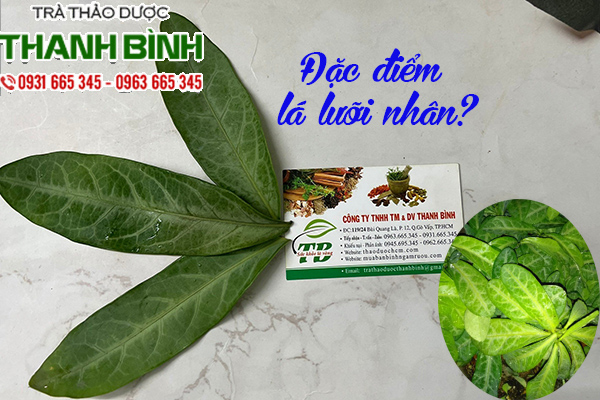 La luoi nhan 1