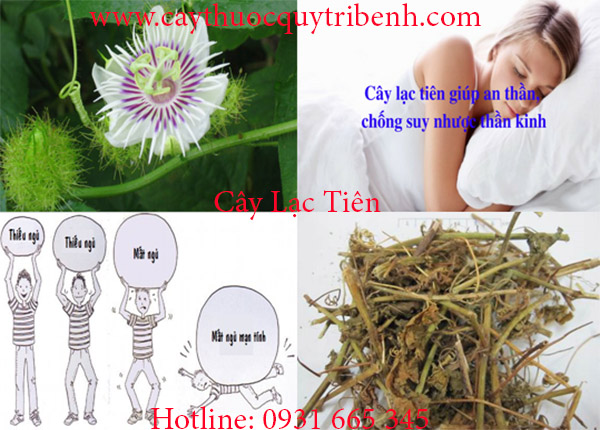 cây lạc tiên