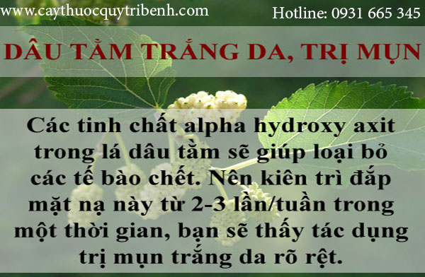 Mua-la-dau-o-dau-tai-tp-hcm-uy-tin-nhat