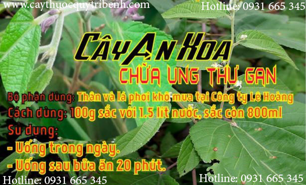 cây an xoa