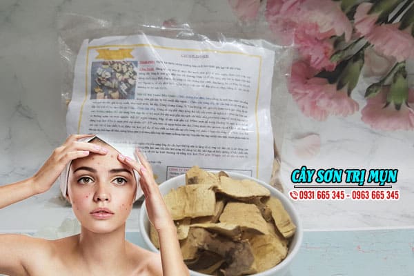 cây sơn thảo dược thanh bình