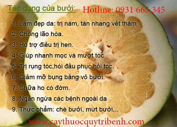 vỏ bưởi khô