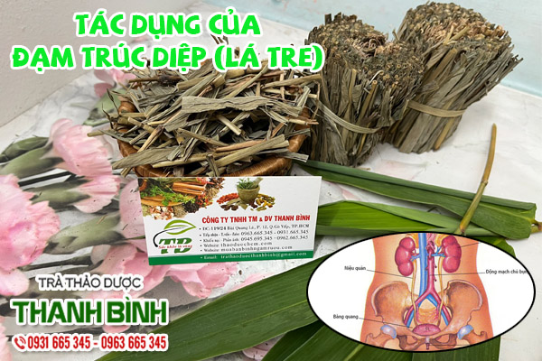 Đạm Trúc Diệp Thảo dược Thanh Bình