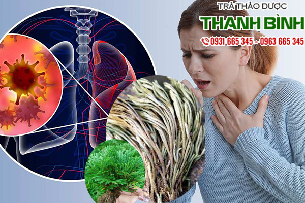 Truong sinh thao 2