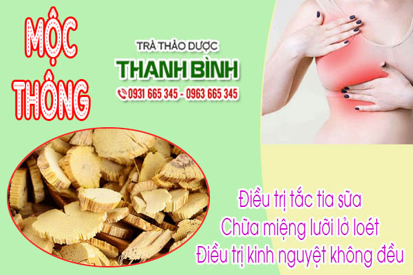 Mộc Thông Thảo dược Thanh Bình