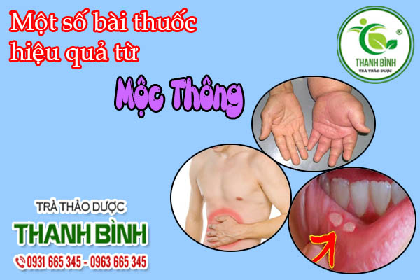 Mộc Thông Thảo dược Thanh Bình