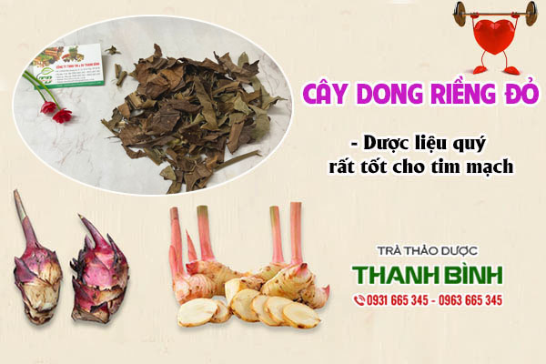 dong-rieng-do-thanh-binh
