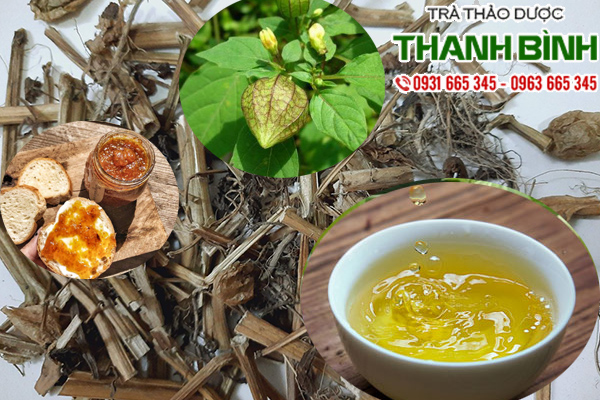 cay thu lu thanh mat