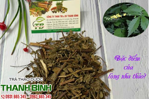 Long nha thao 1