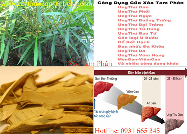 xáo tam phân