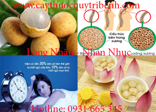 nhãn nhục