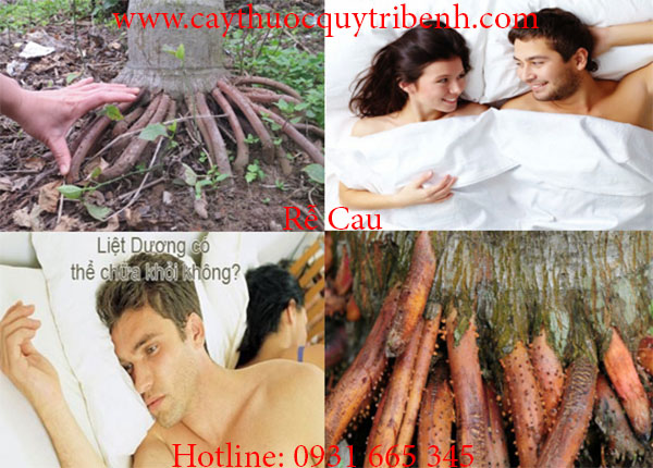 rễ cau