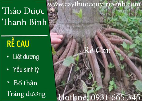 rễ cau