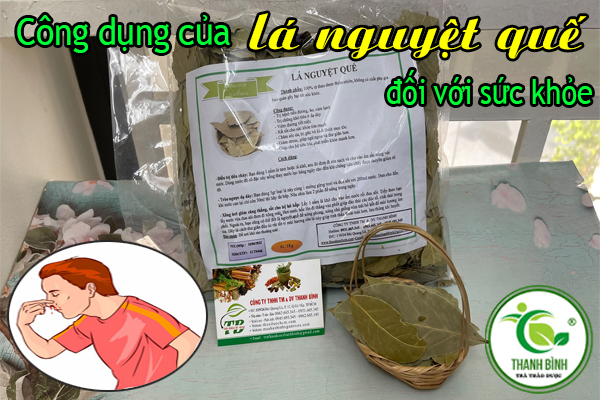 Lá Nguyệt Quế Thảo dược Thanh Bình