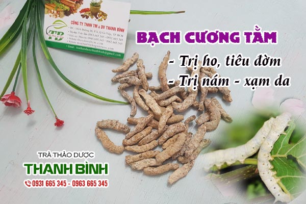 Bạch cương tằm Thanh Bình