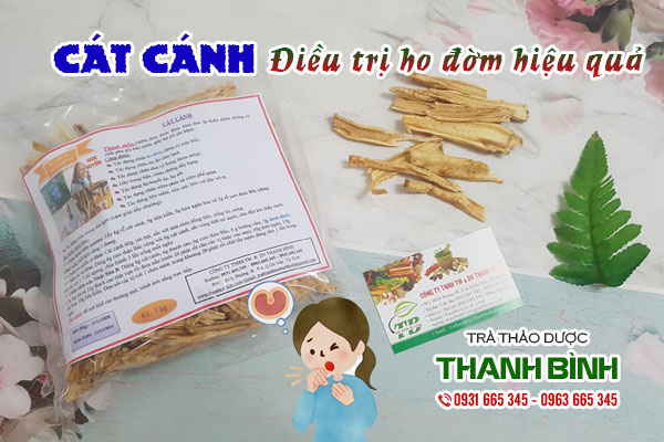Cát cánh Thảo dược Thanh Bình
