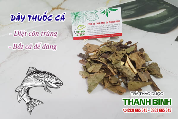 Dây thuốc cá Thảo dược Thanh Bình