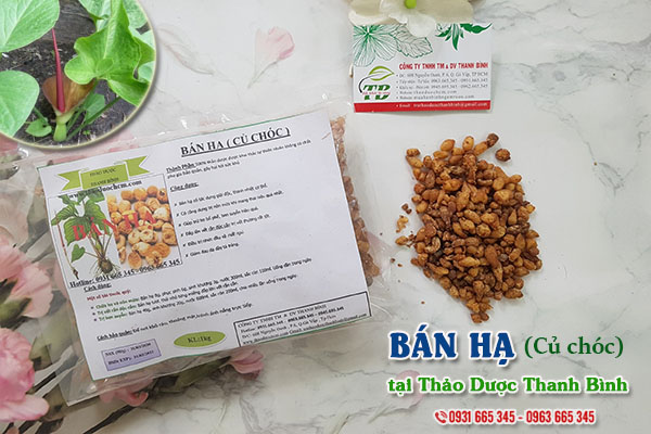 Bán hạ (củ chóc) Thảo Dược Thanh Bình