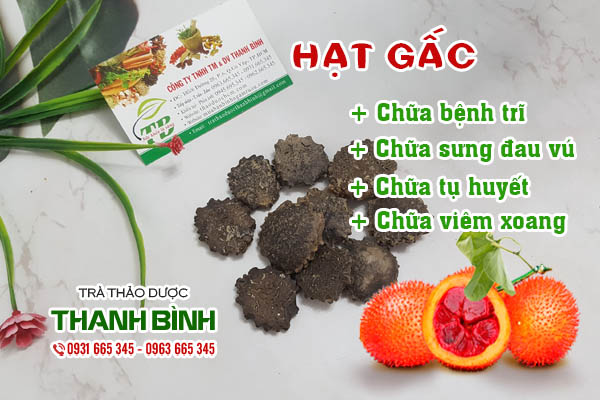 Hạt gấc Thảo dược Thanh Bình