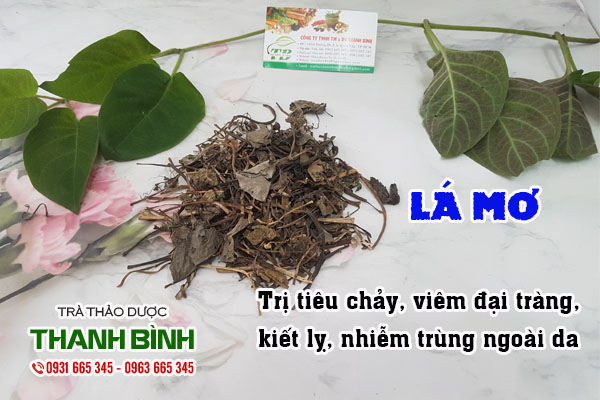 Lá mơ Thảo dược Thanh Bình