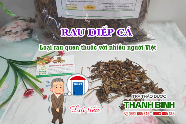 Rau diếp cá Thảo dược Thanh Bình