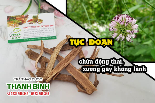 Tục đoạn Thảo dược Thanh Bình