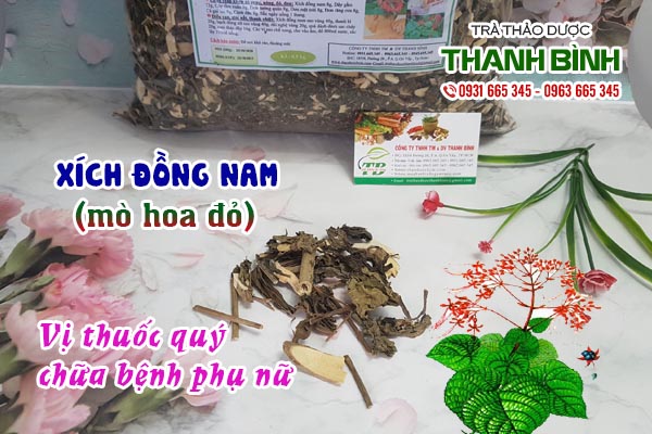 Xích đồng nam Thảo dược Thanh Bình
