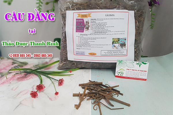 Câu đằng Thảo Dược Thanh Bình