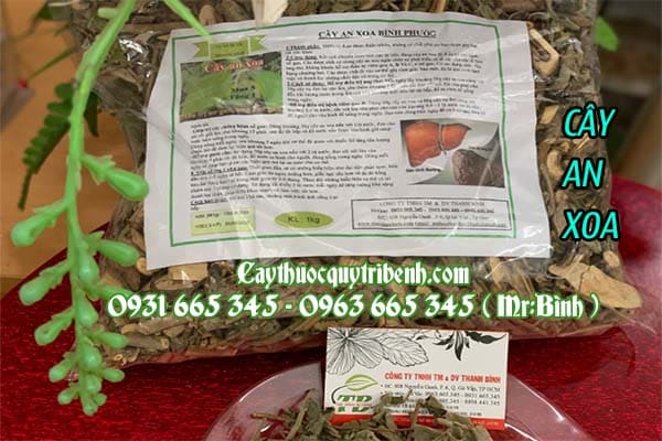 cây an xoa thảo dược thanh bình