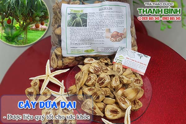 Cây dứa dại Thảo Dược Thanh Bình
