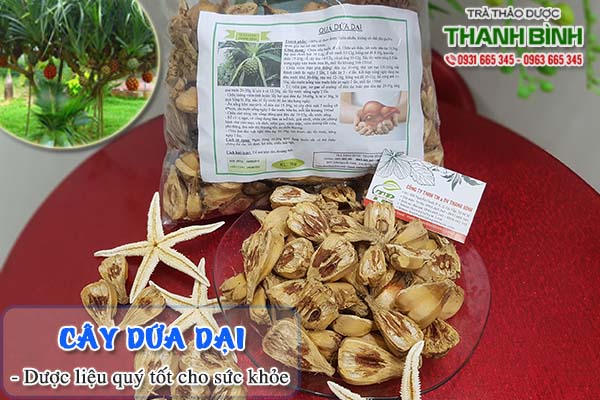 Cây dứa dại Thảo Dược Thanh Bình