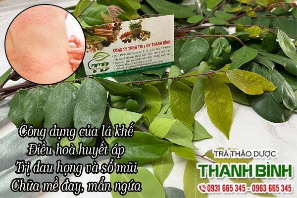 Lá Khế Thảo dược Thanh Bình