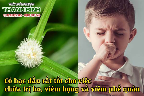 co-bac-dau-kho-thao-duoc-thanh-binh-2