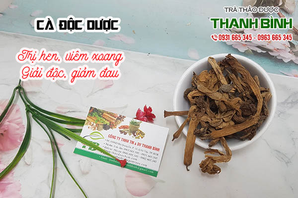 cà độc dược thảo dược thanh bình
