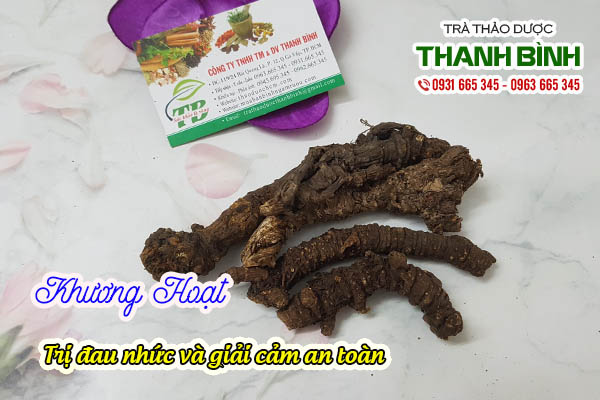 khương hoạt thảo dược thanh bình