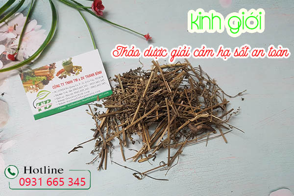 kinh giới thảo dược thanh bình