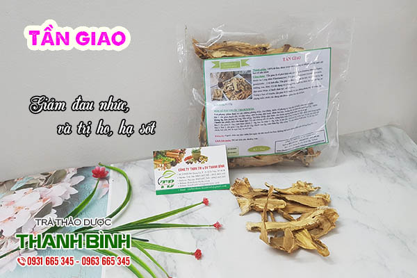 tần giao thảo dược thanh bình