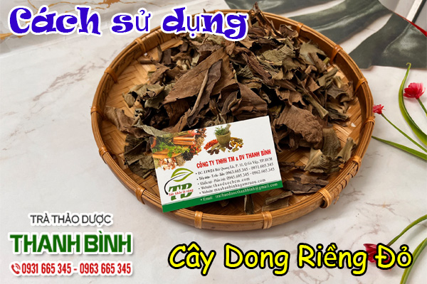 Cây Dong Riềng Đỏ Thảo dược Thanh Bình